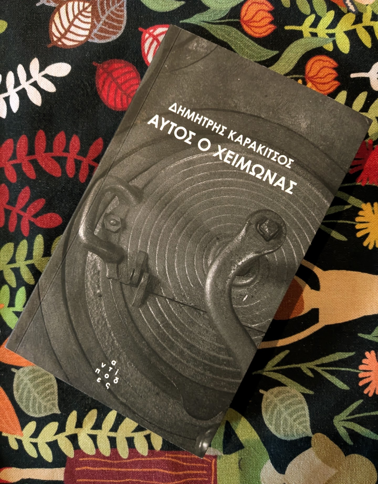 Αυτός ο χειμώνας, Δημήτρης Καρακίτσος (Αντίποδες, 2024)